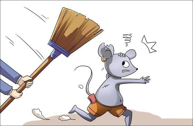 與老鼠作斗爭要掌握以下技能